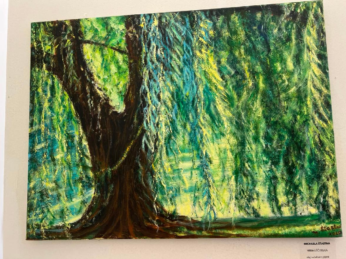 VRBA LÉČITELKA 2020 olej na lněném plátně 60x80 cm