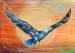 Modrá kondorka - cesta Svobody